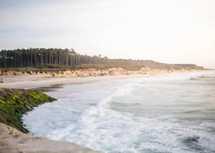 Oporto Surflodge * Cortegaça